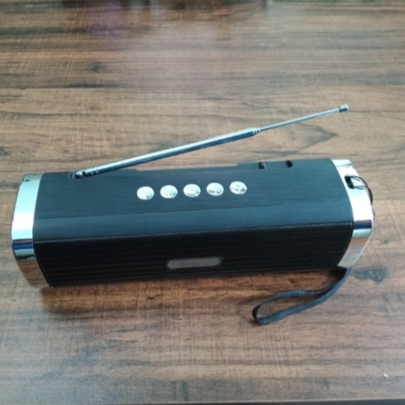 GSound Outdoor Wireless Speaker with Emergency Torch Light