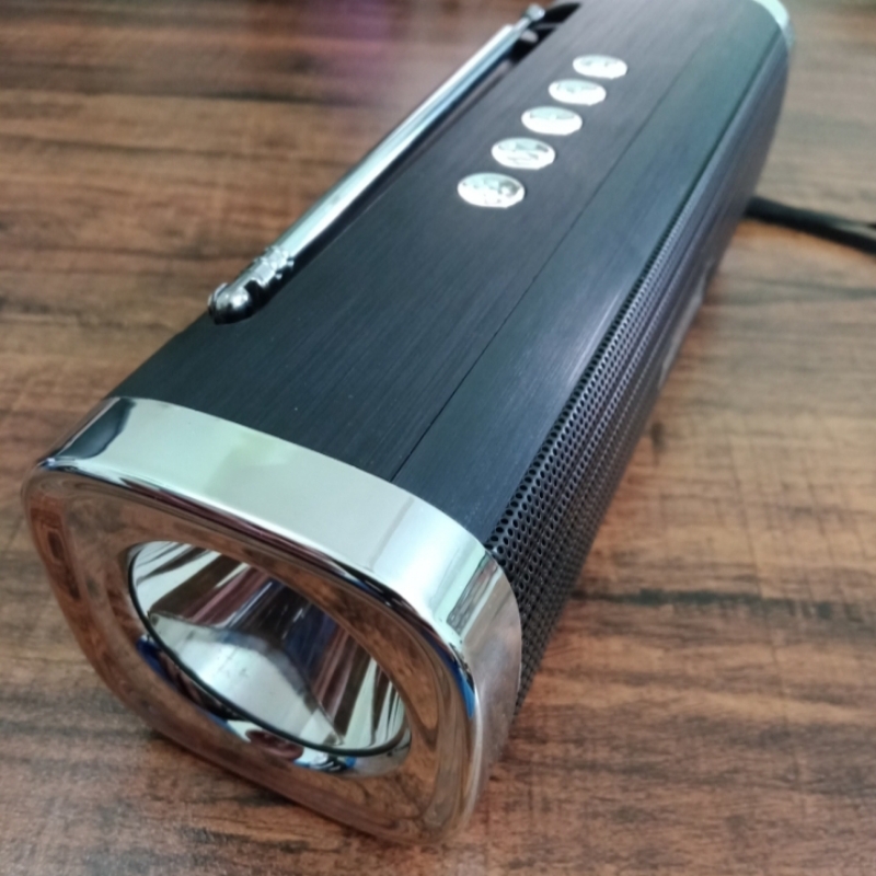 GSound Outdoor Wireless Speaker with Emergency Torch Light