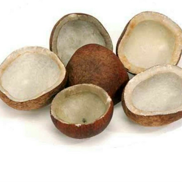 Coconut Whole 250 Grams