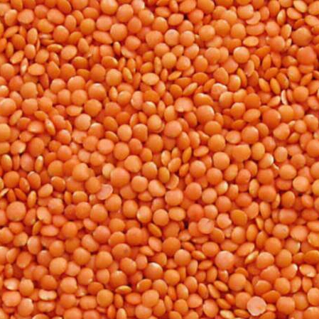 Daal Masoor (Desi) 500 Grams