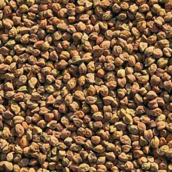 Kalay Chanay 500 Grams
