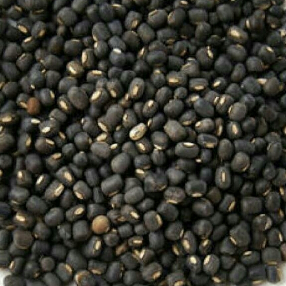 Maash Salum 500 Grams