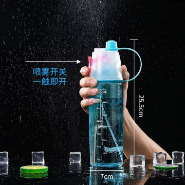 Spray Water Bottle (600 Ml)