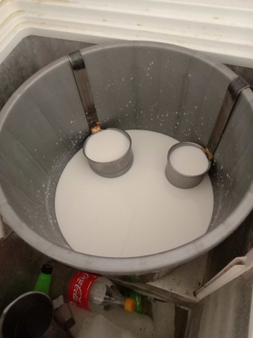 Yogurt (Dahi)