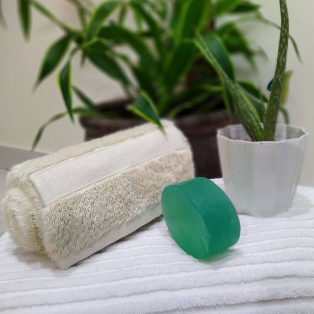 Natureza Simple Handmade Aloe Fresh Transparent Soap 120g