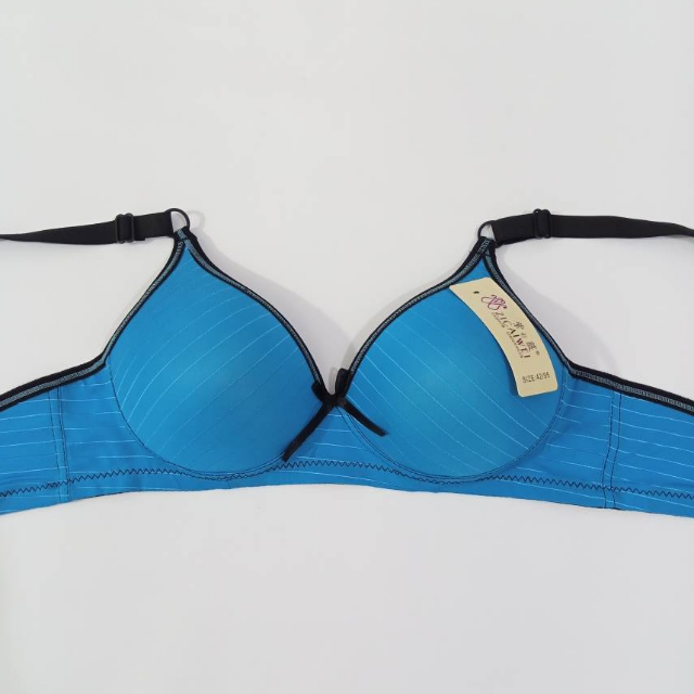 Imported Fancy Bra