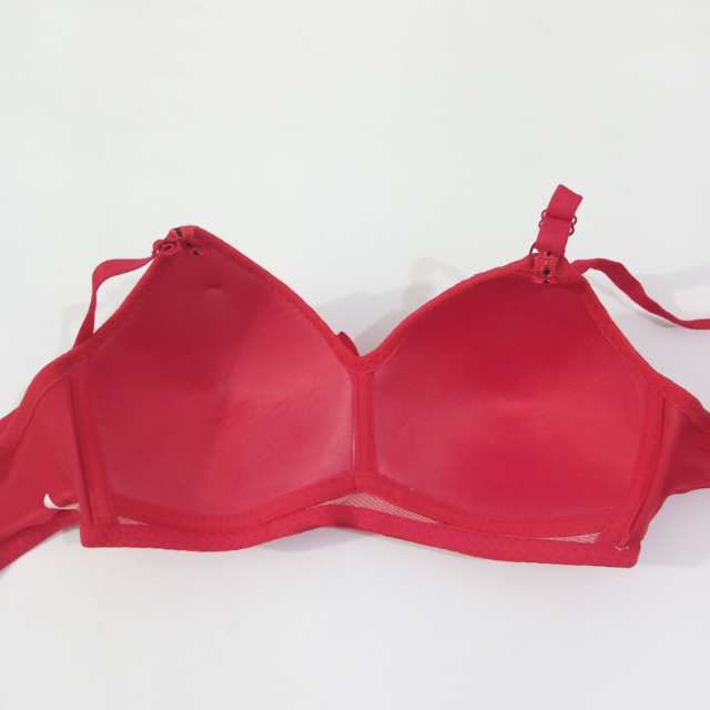 Red Bra (Imported)