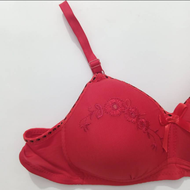 Red Bra (Imported)