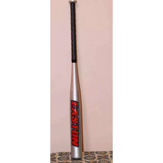 Easton Baseball Bat
