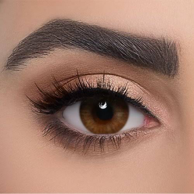 DAHAB DAILY WEAR LENSES GOLD COLLECTION