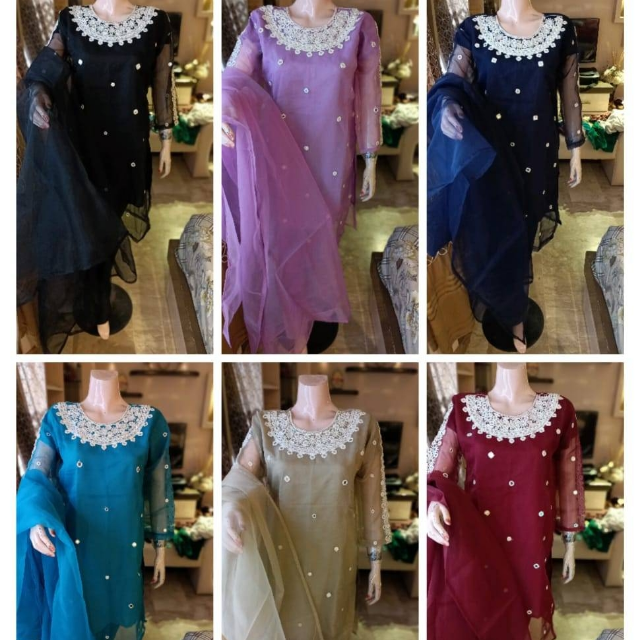 Organza Fabric With Mirror And Hand Work 3PC