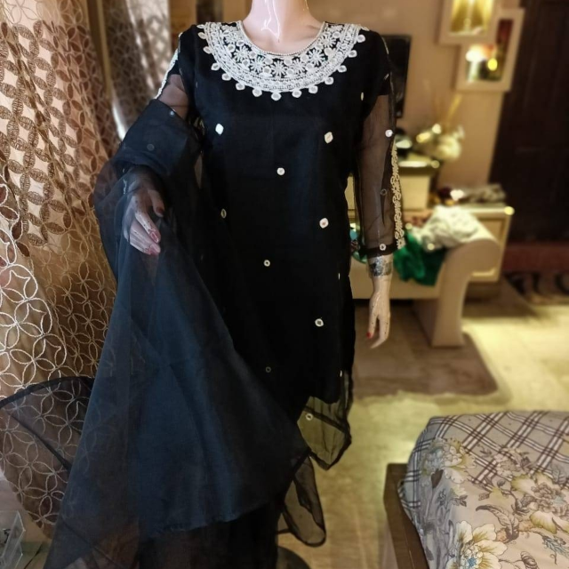 Organza Fabric With Mirror And Hand Work 3PC