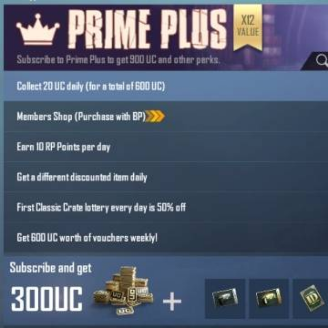 PUBG Prime Plus Subscription