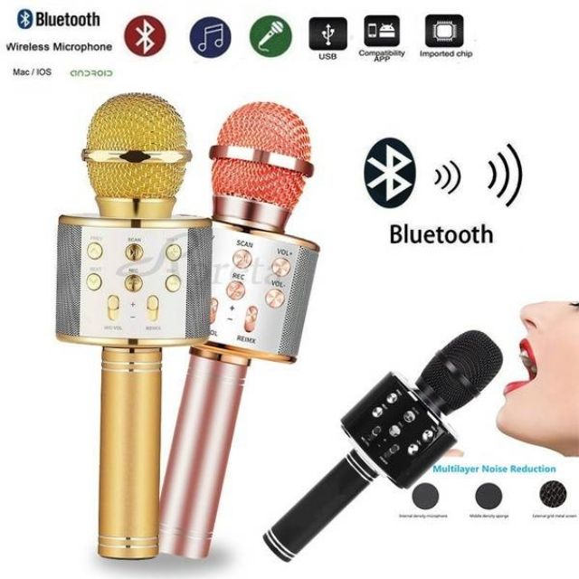 Wireless Karaoke Mic with Speaker