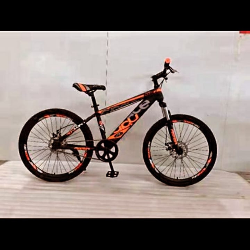 Bicycle 24 inches imported