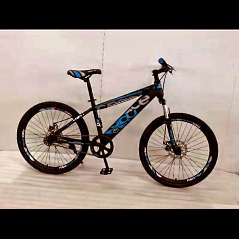 Bicycle 24 inches imported