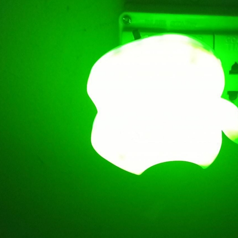 Beautiful night LED light