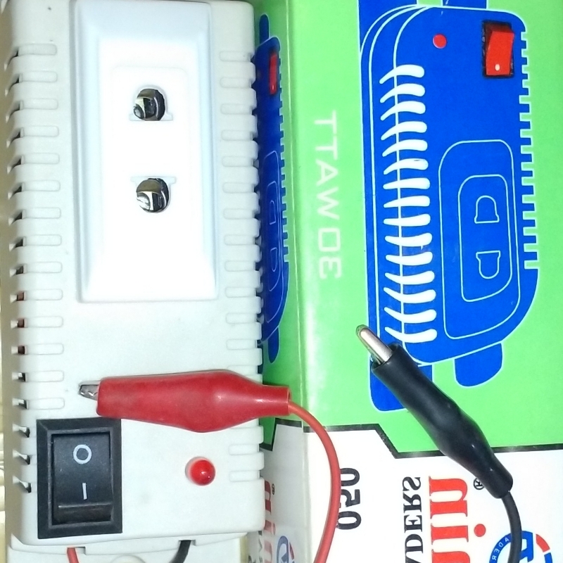 12 Volt DC To AC 220V Converter 30 Watt Mini Inver