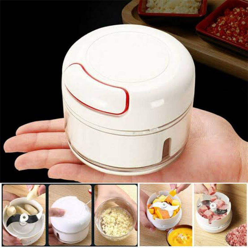 Manual Garlic Grinder