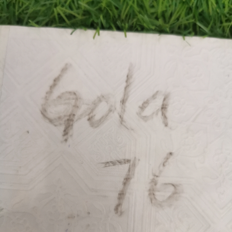 Gola - 76
