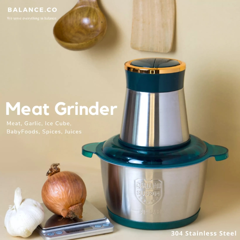 Electric 2 Speeds Meat Vegetables Fruits Ice Chopper Stainless Steel