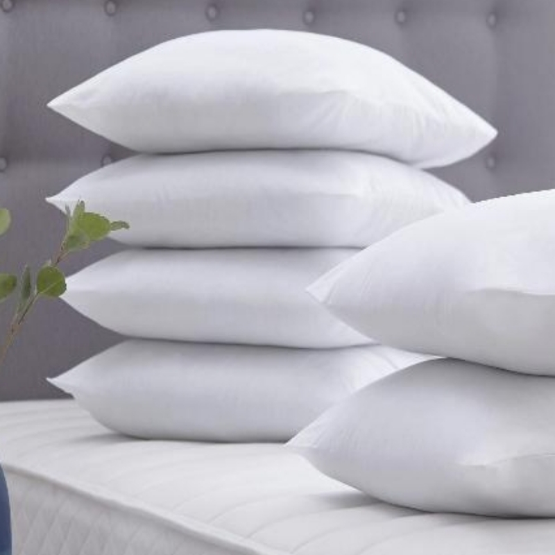Filled Pillows pair