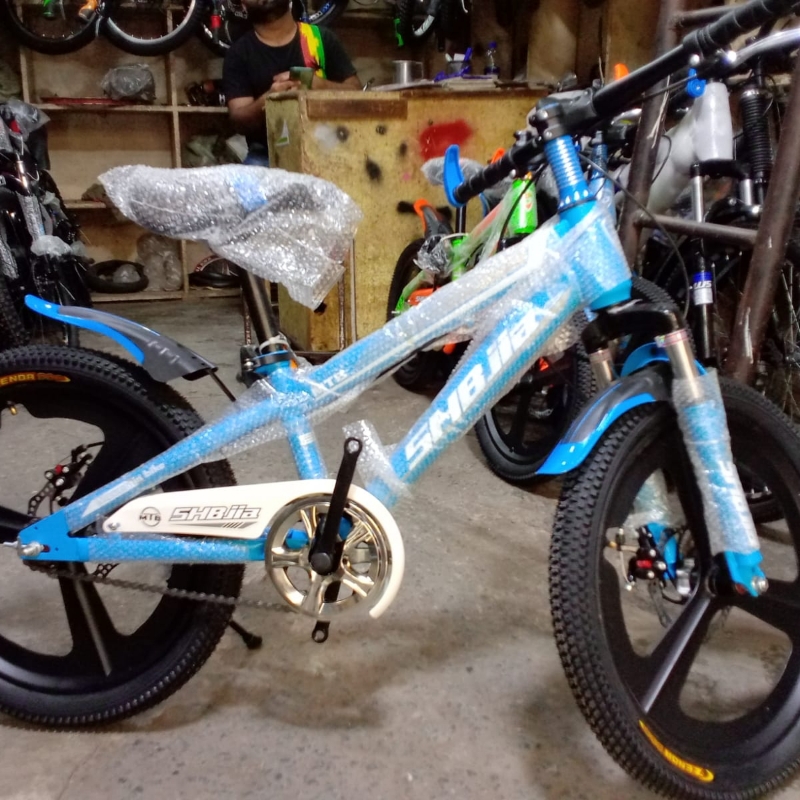 SHIBJIA 20 BICYCLE IMPORTED