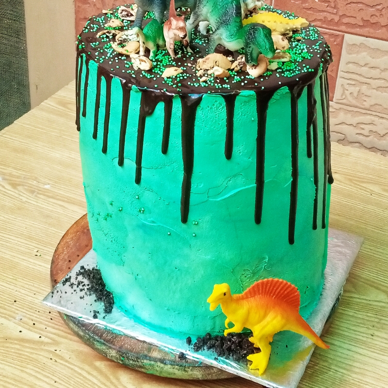 Dinasor theme cake 8 pounds