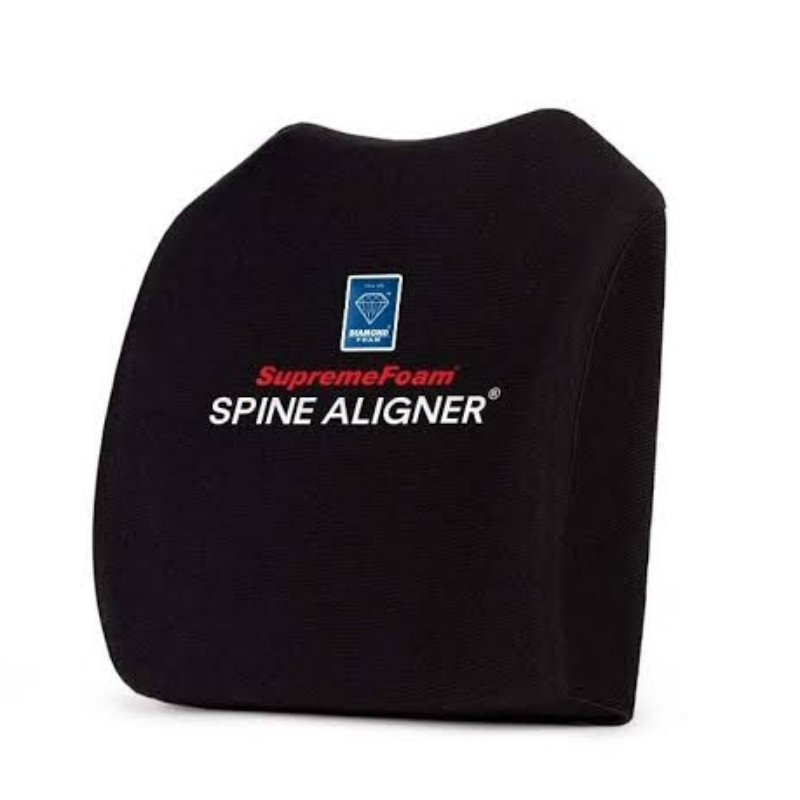 Back support system