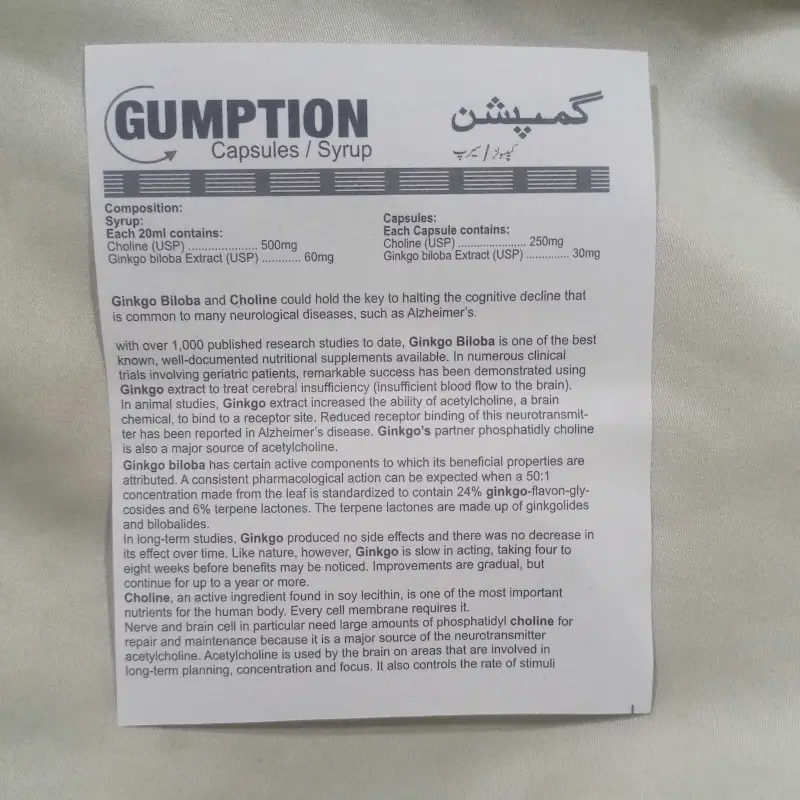 SYP GUMPTION. NEURO CHOLINE 500 MG + GINKOBILOBA 60 MG