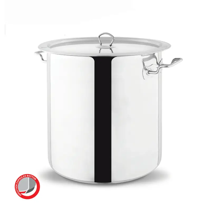 Alpha Stainless Steel deep fryer