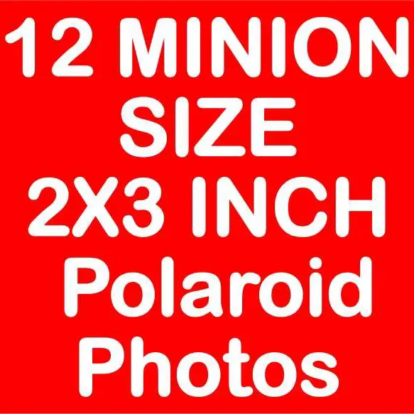 Minion Size 2x3 Inch Polaroid Pictures