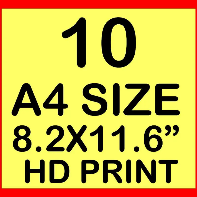 A4 Size Print