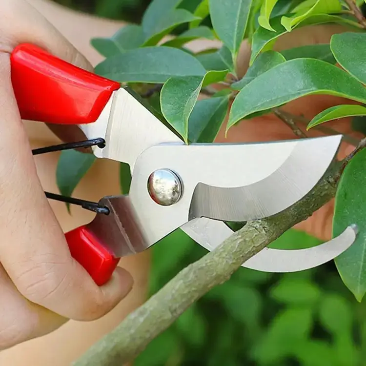 Branch Cutter Curved