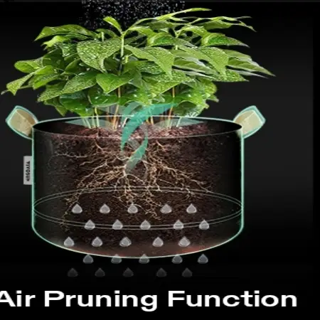 Grow Bag 5 Gallon