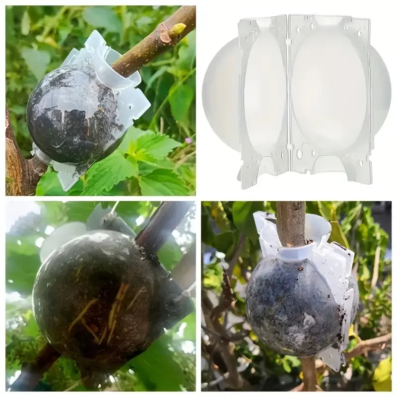 Air lairing Transparent