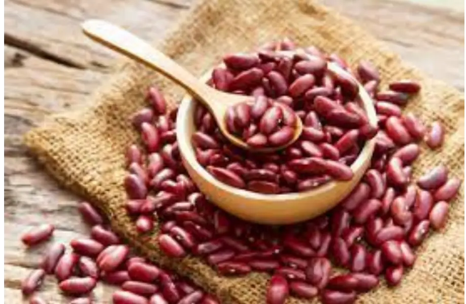 Red Kidney Beans