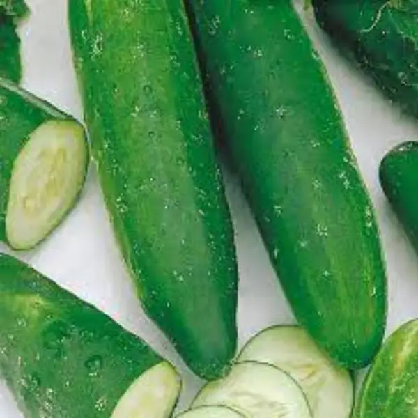 CUCUMBER