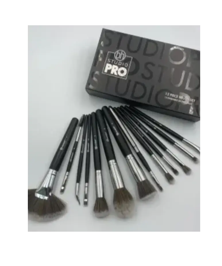 Bh pro studio 13pcs  professional Brushes set...