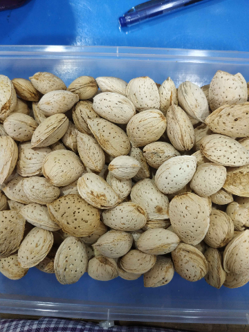 Gola Badaam 1 Kg