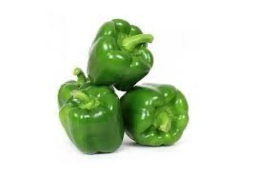 CAPSICUM