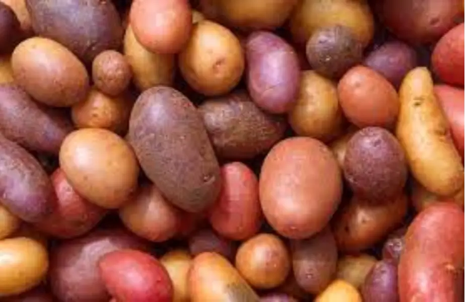 POTATTO (UNSWEET)