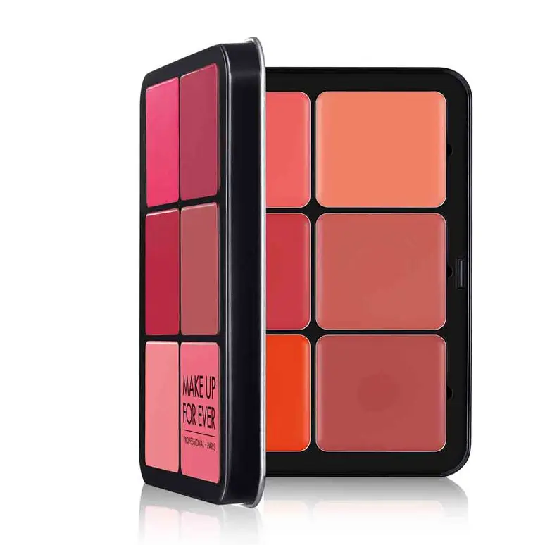 12 Colour Ultra HD INVISIBLE COVER CREAM BLUSH PLATE