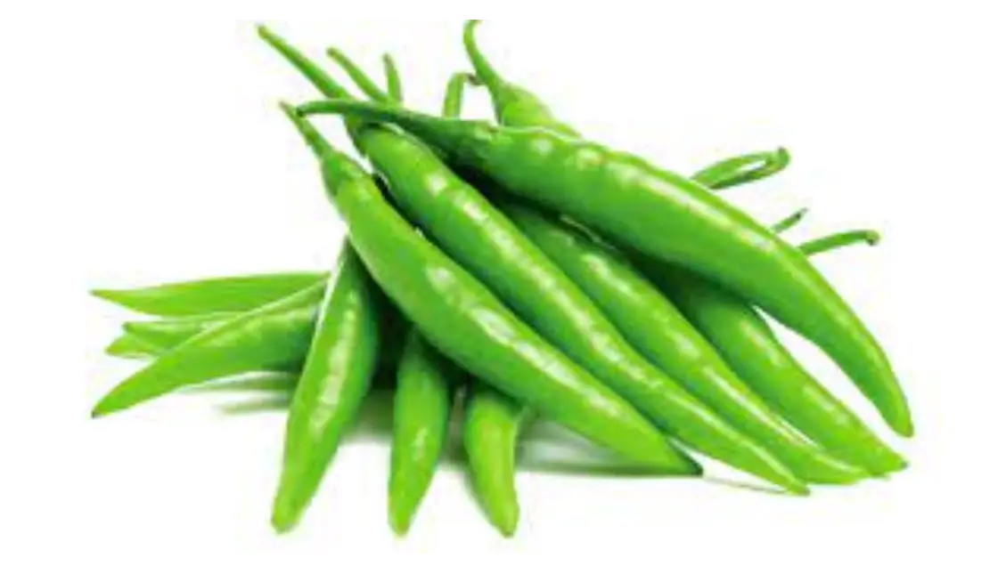 GREEN CHILLI